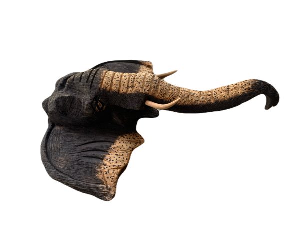 Veronsky_elephant head