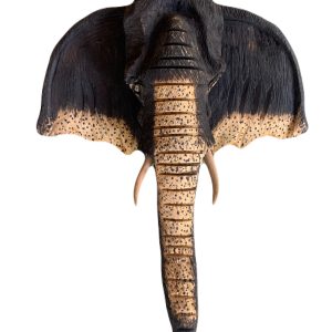 veronsky_elephant head