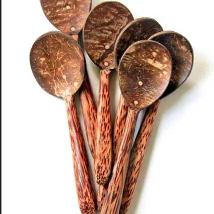 6 coconuts spoons